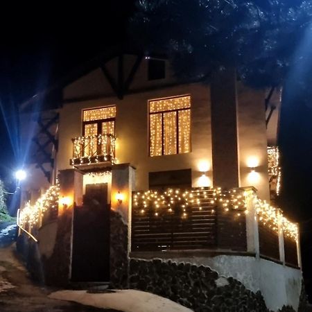 Villa Beridze بورجومي المظهر الخارجي الصورة