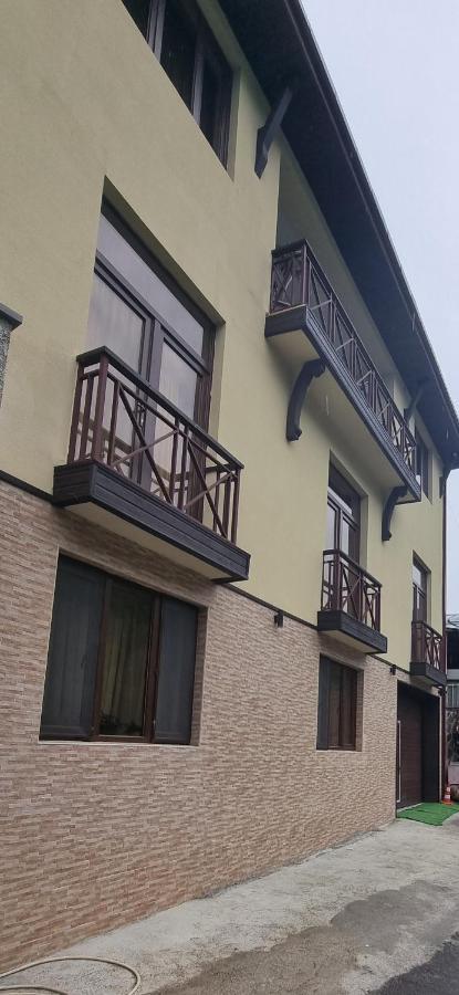 Villa Beridze بورجومي المظهر الخارجي الصورة