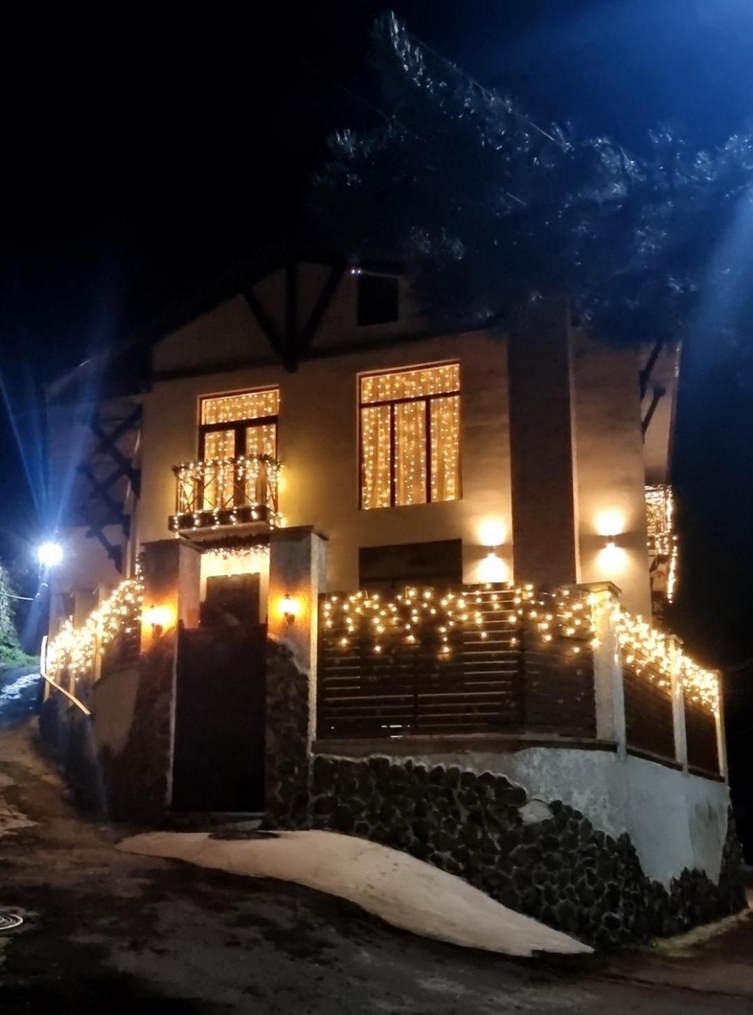 Villa Beridze بورجومي المظهر الخارجي الصورة
